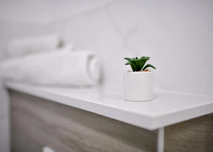 Deluxe Soline 扎达尔