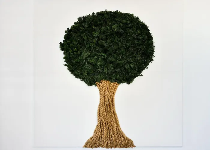 Deluxe Soline 公寓