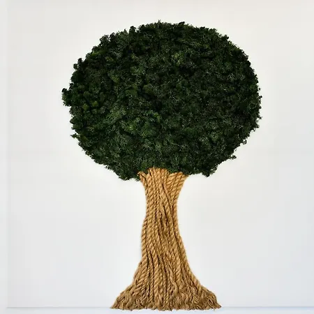 Deluxe Soline Apartment